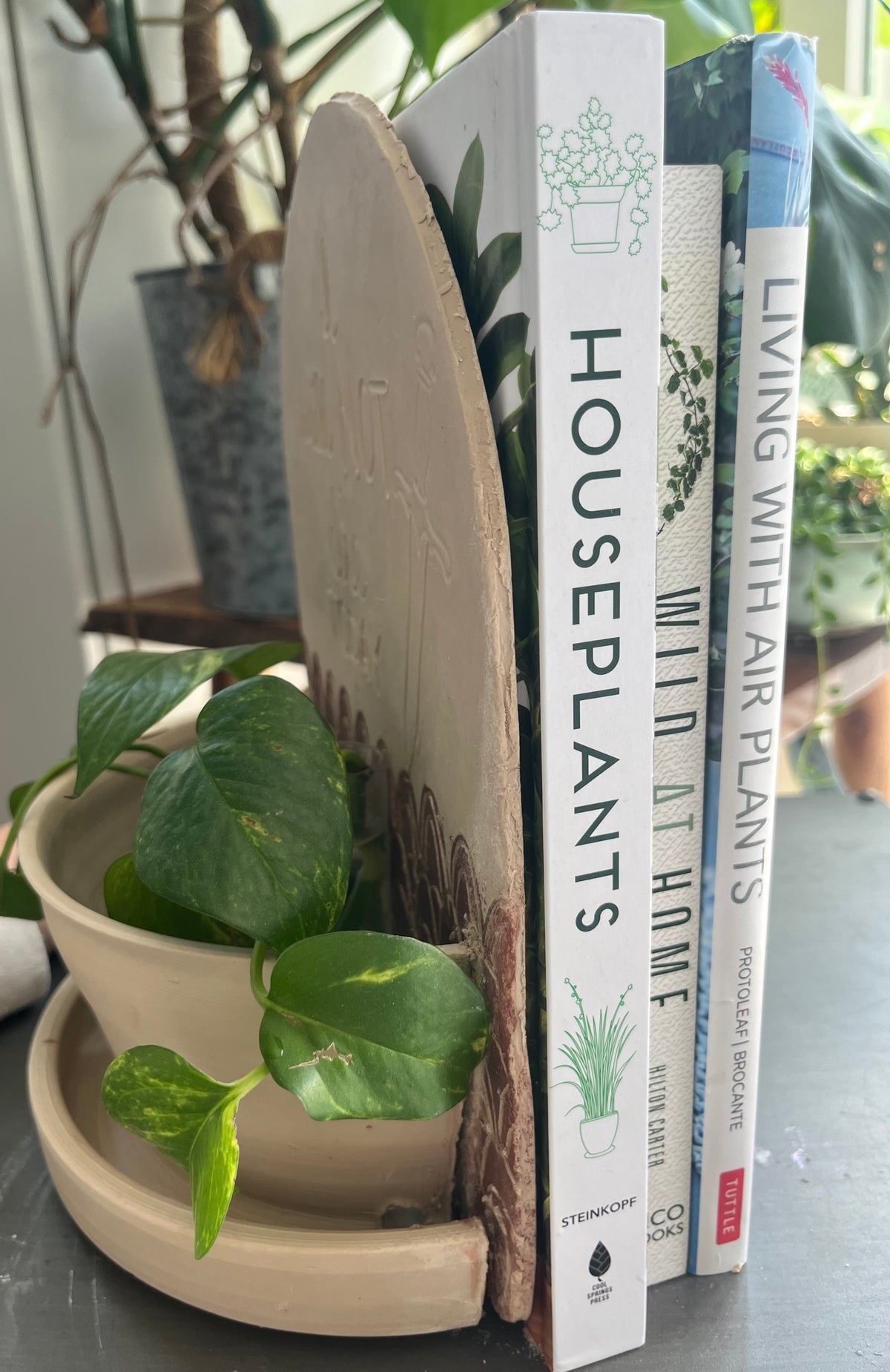 Bookend Planter Workshop |Sept 27 at Tiny Greenhouse